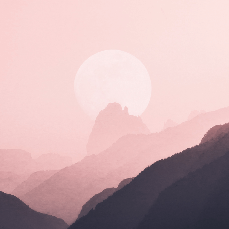 欢迎在宝塔面板安装Z-BlogPHP！